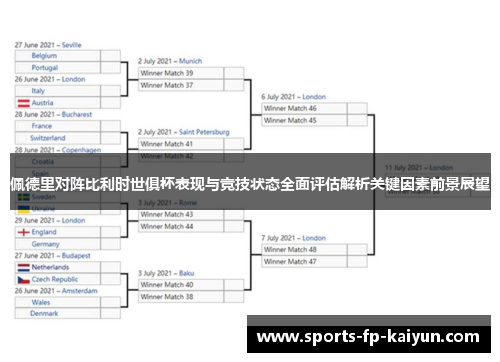 佩德里对阵比利时世俱杯表现与竞技状态全面评估解析关键因素前景展望